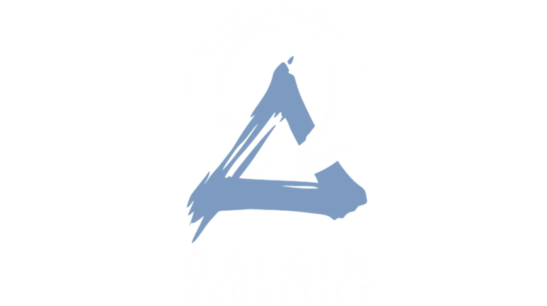 Origin Acoustics (1)